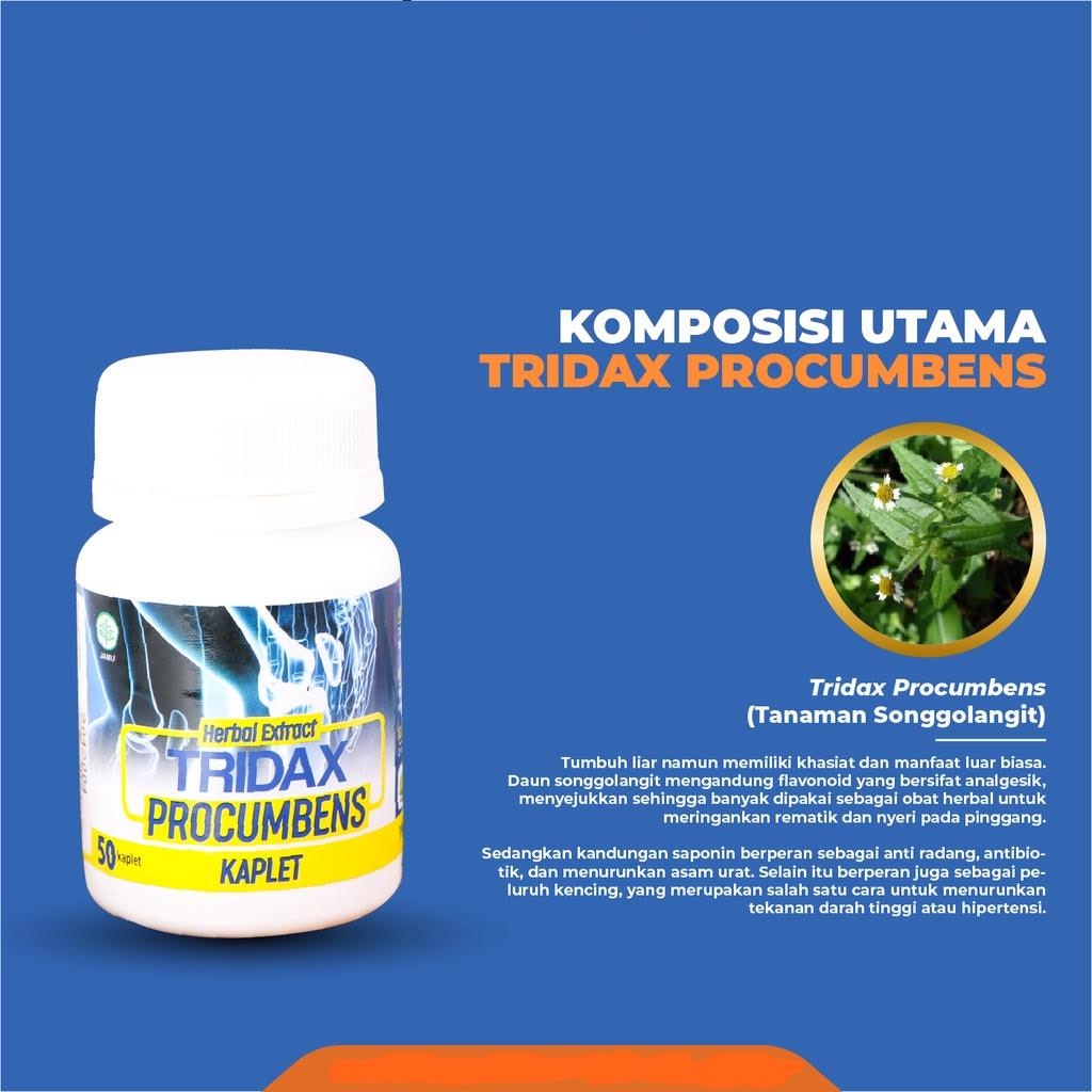 Tridax Procumbens Obat Asam Urat Nyeri Sendi Rematik Original