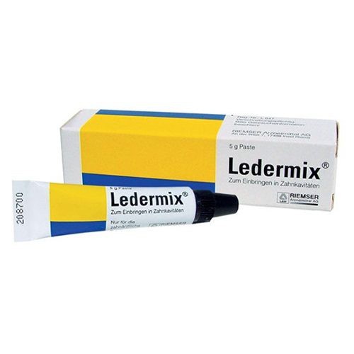 Ledermix Paste 5g