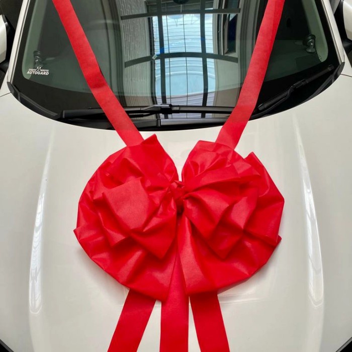 PITA MOBIL/PITA DOORPRIZE/PITA HADIAH/PITA HADIAH MOBIL BARU JUMBO