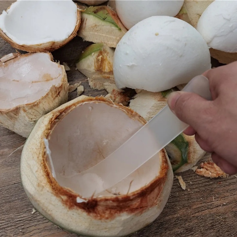 Alat Penggali Kelapa/Penghilang Daging Kelapa Plastik/Pemotong Serutan Kelapa Bisa Dicuci Alat Buah Lembut