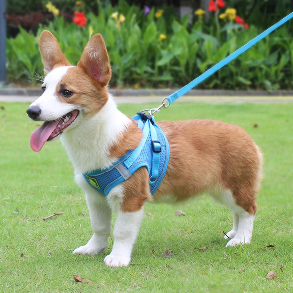 Timekey Dog Cat Harness Set Pet Rompi Reflektif Berjalan Dapat Disesuaikan Dengan Tali Harness Mesh Breathable Untuk Anjing Kecil Sedang A8C7