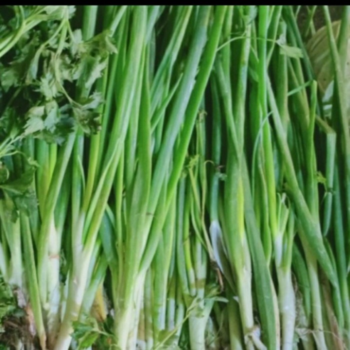 

Bawang daun 250gr