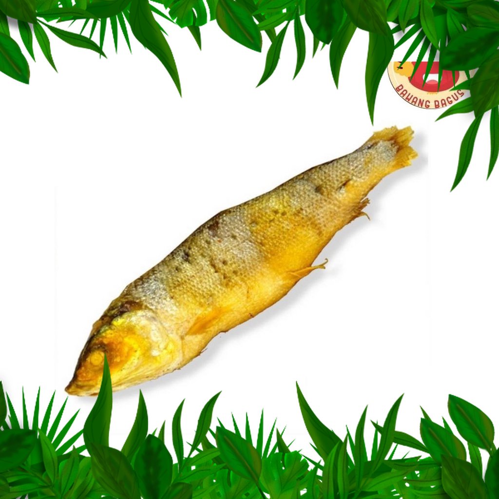

Sayur fresh Nusantara Ikan Bandeng Presto/Ikan Bandeng Presto Duri Lunak 1ekor