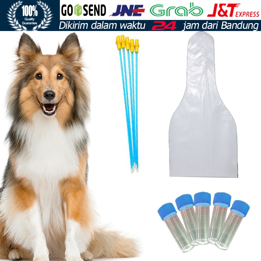 3Pcs/Set Alat Inseminasi Buatan Hewan Anjing Kucing Sapi Dll Selang Kawin Suntik