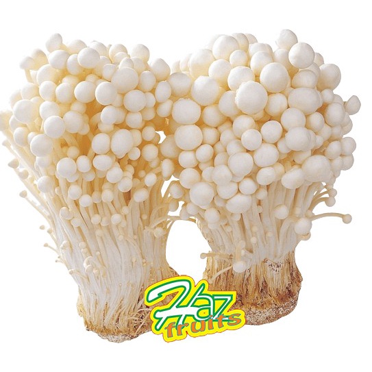

Enoki Mushroom / Jamur Enoki Fresh 100gr x 50pcs - 1 Karton