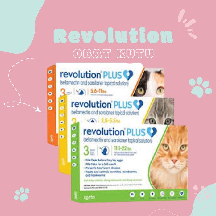 Revolution PLUS for Cat &amp; Kitten - Obat Anti Kutu Kucing