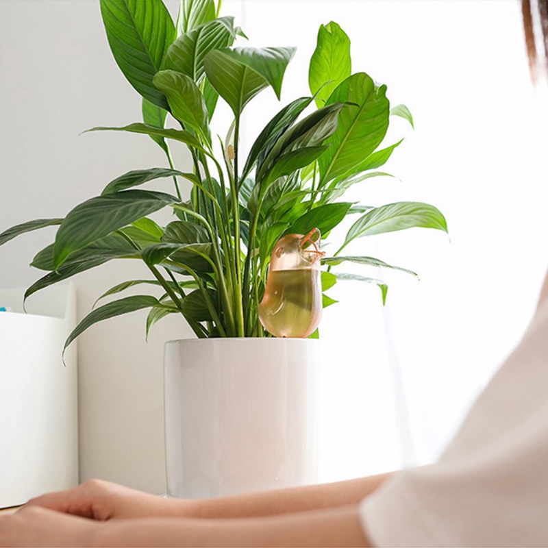 Pot Tanaman Bentuk Burung Self Watering Spike/ Lazy Automatic Watering System Dripper/ Alat Irigasi Pot Taman Rumah