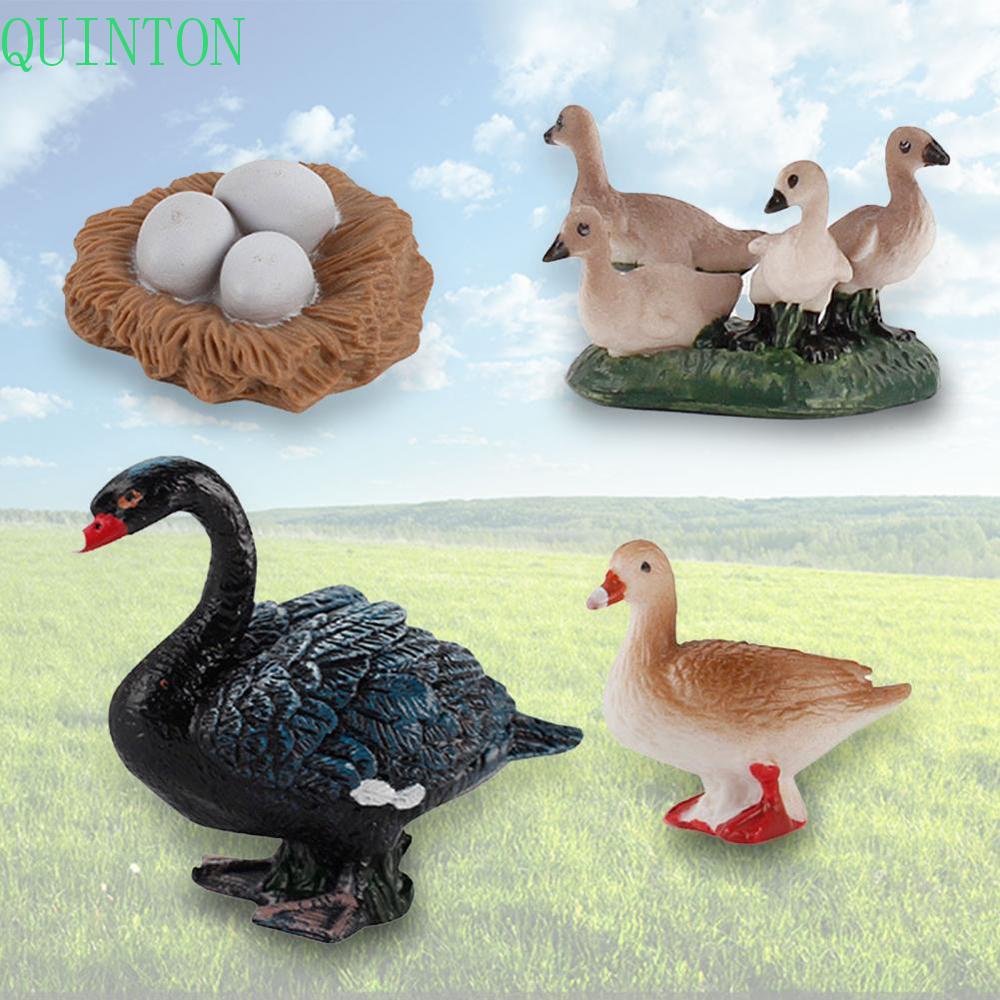 Quinton Life Cycle Figure Simulasi Ilmu Angsa Model Hen Cock Mainan Edukasi Cycle Bebek Figurine