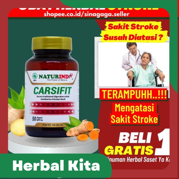 

Obat Herbal Stroke Ampuh Struk Ringan Berat Lumpuh Carsifit Naturindo - Carsifit