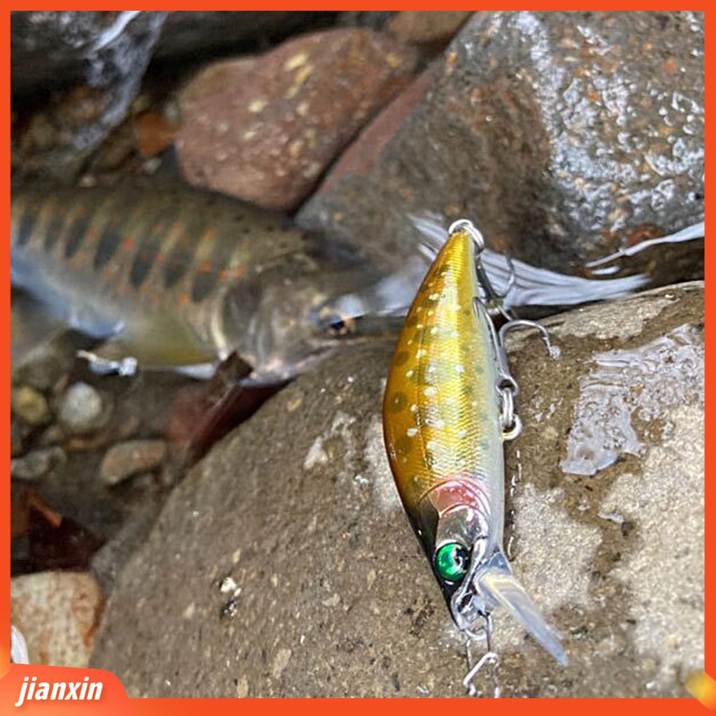 (In Stock) 50mm /5.2g Umpan Pancing Realistis 3D Simulasi Fisheye Tajam Kait Warna Terang Lempar Panjang Memancing Universal Ikan Kecil Tenggelam Umpan Tenggelam Untuk Outdoor