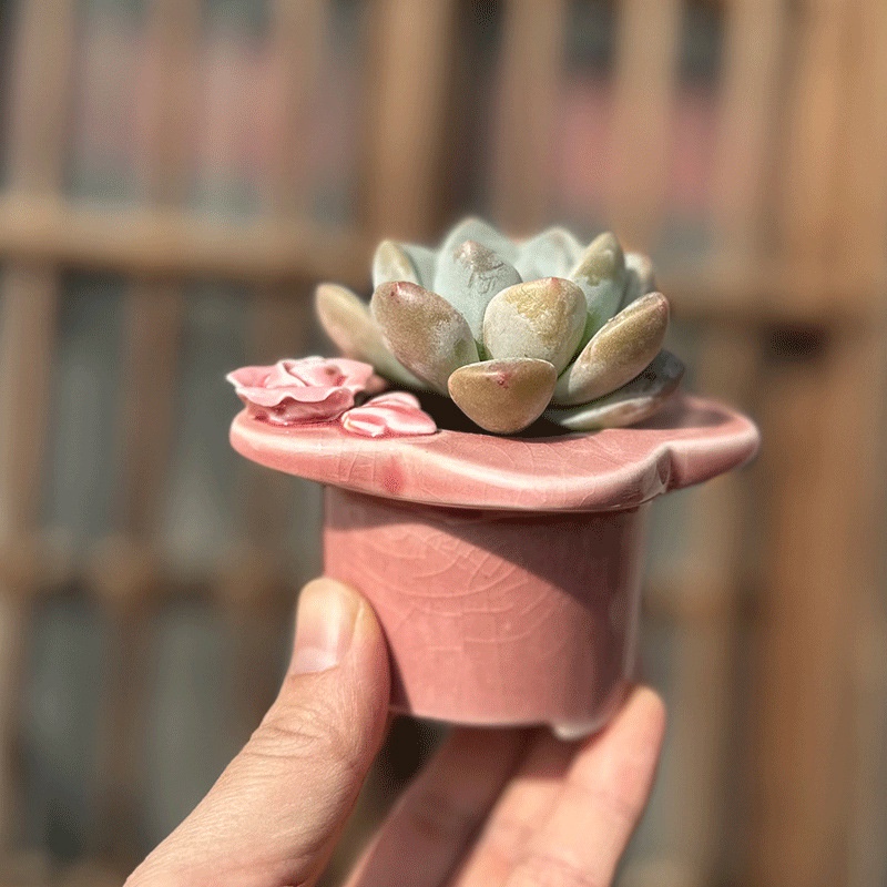 ღ Desktop Kreatif Tanaman Succulent Pot Bunga Bentuk Bunga Es Retak Glaze Dekorasi Bunga Batu Mentah Keramik Kreatif