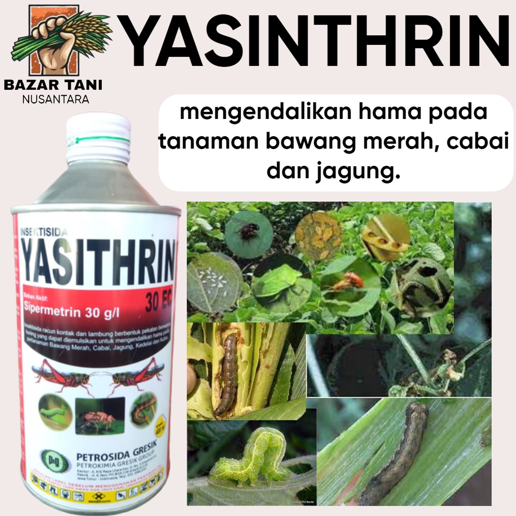 INSEKTISIDA Yasithrin sipermetrin 30 ec racun ulat grayak penggulung daun belalalng lembing walangsa