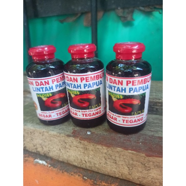 minyak lintah dan daun pembungkus papua asli kualitas super