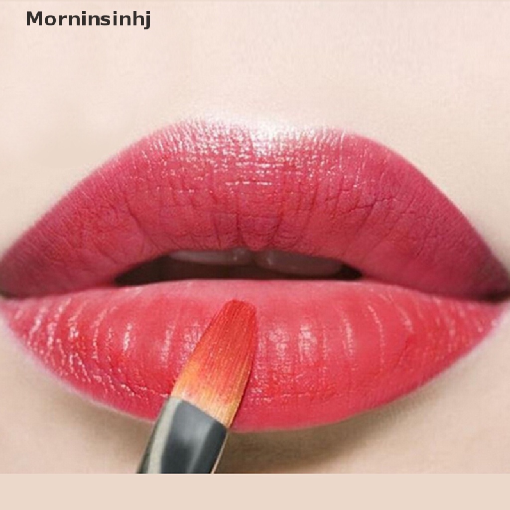 Mornin New Alat Make Up Salon Profesional Portable Kosmetik Lip Gloss Kuas Bibir id