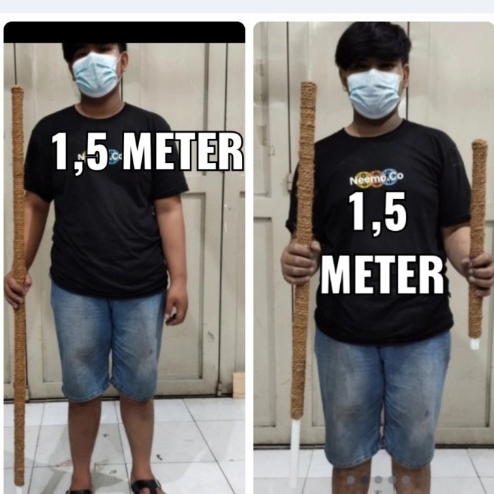 turus tanaman panjang 2 meter, 1,5 meter, penyangga tanaman merambat, bagus