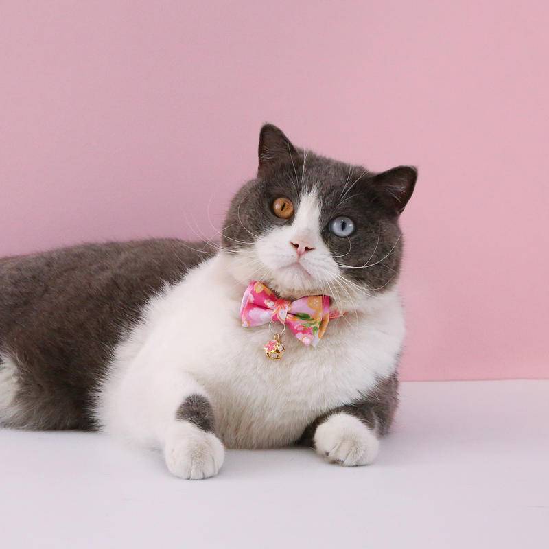 Pet cat collar flower bow with bell pendant print detachable bow tie cat dog adjustable Kalung Aksesoris