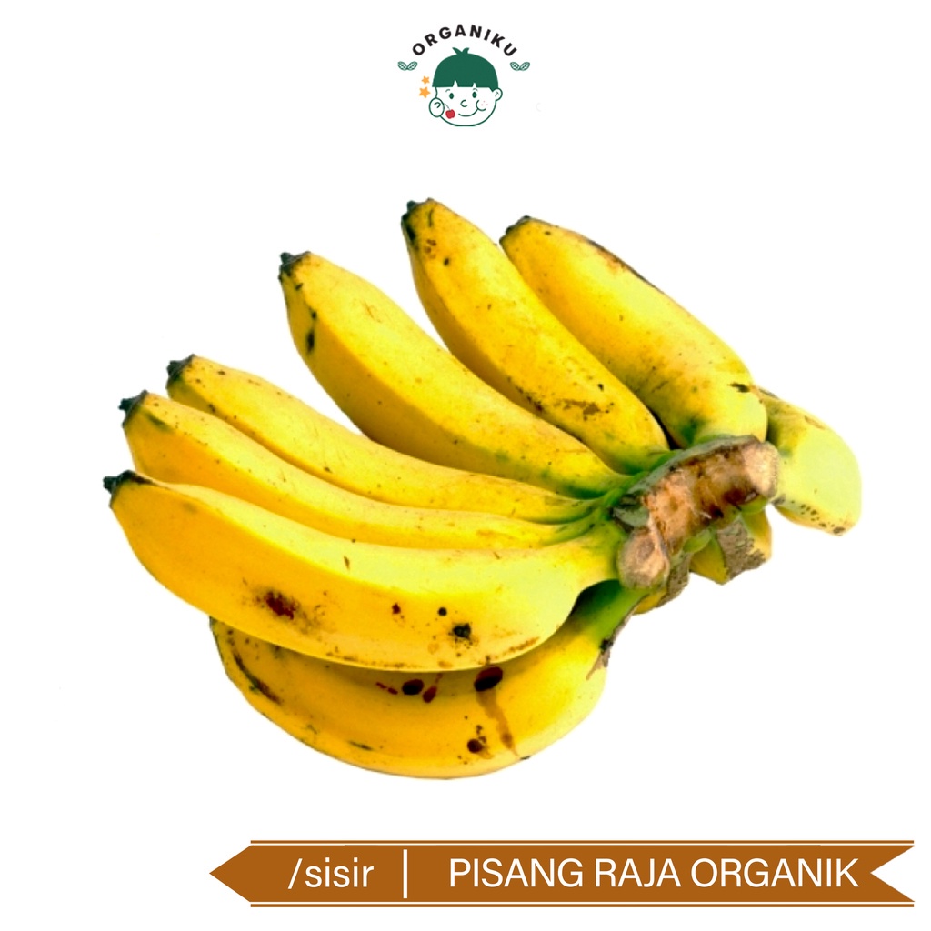 

Pisang Raja Organik per Sisir (CitraFood)