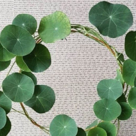 Loop Planters - 25cm Media Rambat Turus Besi Bulat Tanaman Hias