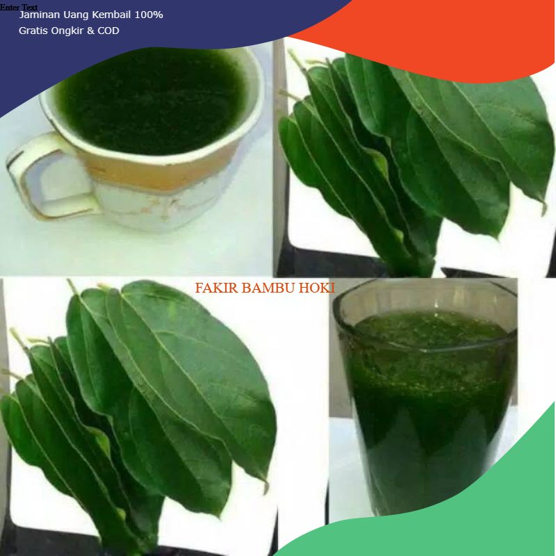 

PROMO DAUN CINCAU SEGAR MURAH TERMURAH
