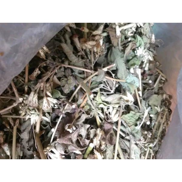 

1kg Daun Kirinyuh Kering Atau Merenggo