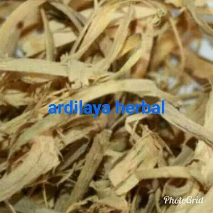 

Bidara laut/doro putih/kayu ular 250gram ASLI 100%