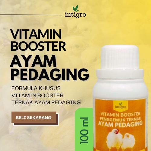( Bos_Organik ) Vitamin Ayam Pedaging Broiler Joper Jawa Super / Vitamin Penggemuk Ayam Kampung Biar