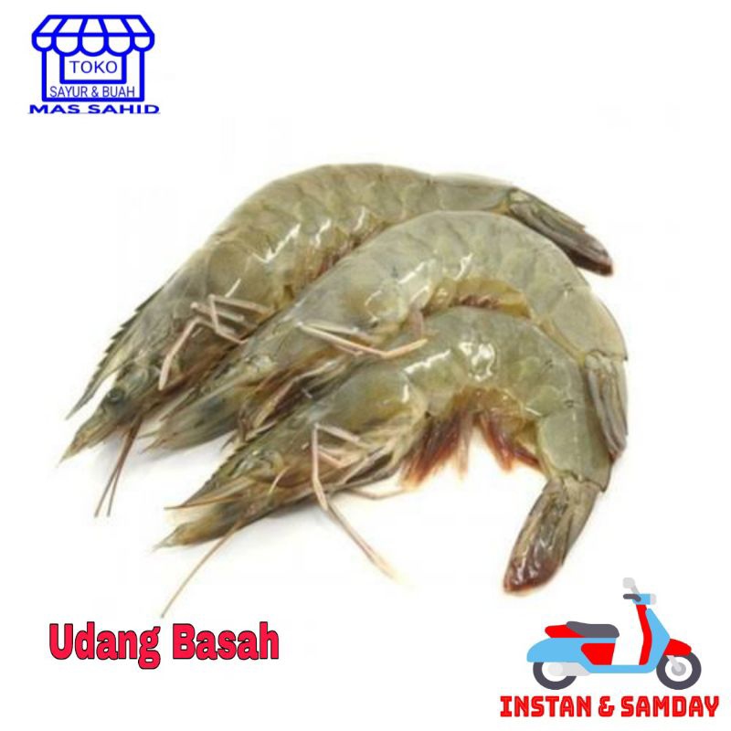 

INSTAN Udang Basah Fres