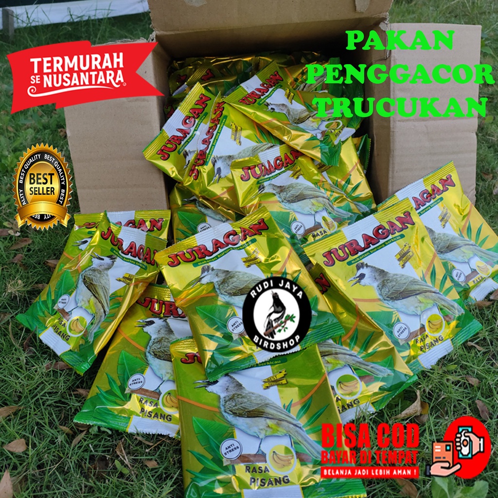 PAKAN MAKANAN BURUNG TRUCUK CUCAK KUTILANG TROCOK VOER PUR JURAGAN VIRAL RACIKAN LENGKAP GACOR JUARA