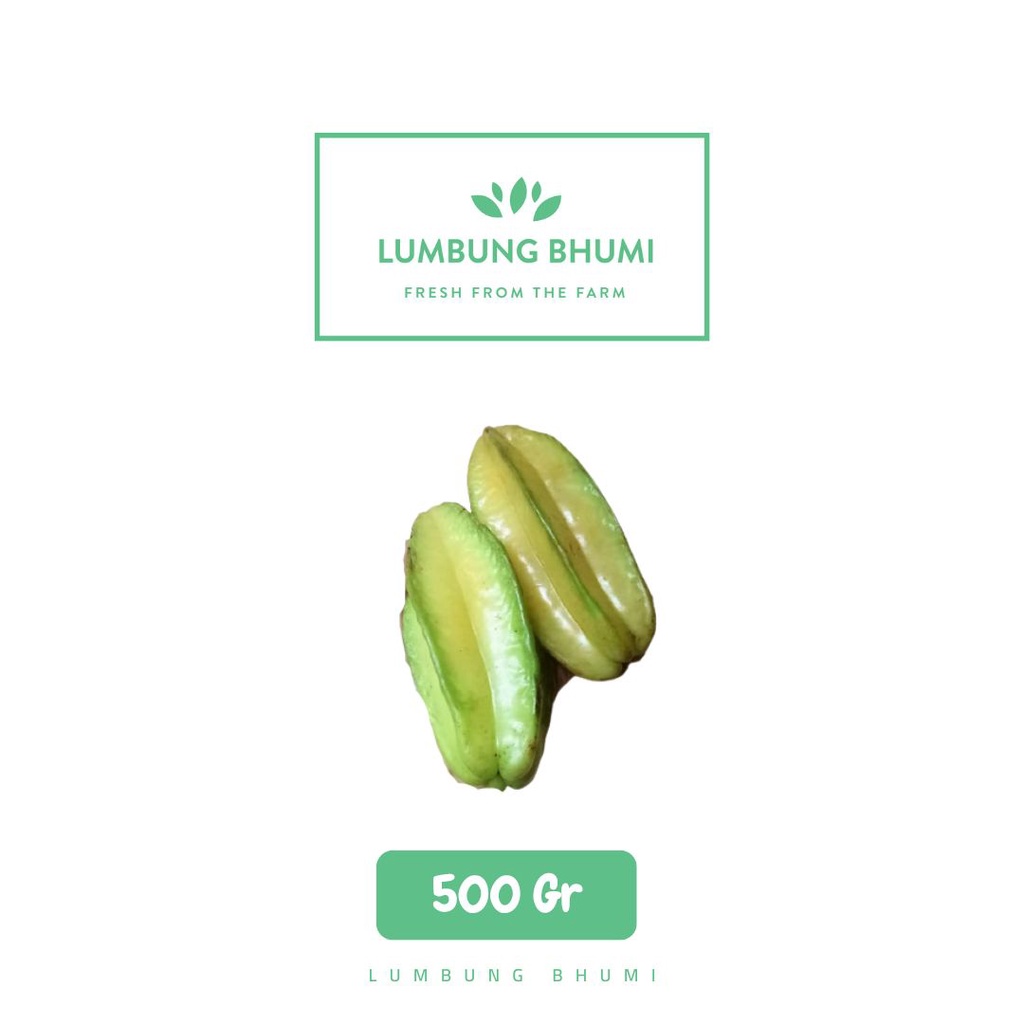 

Lumbung Bhumi - Belimbing 500 Gr ( Buah Curah )