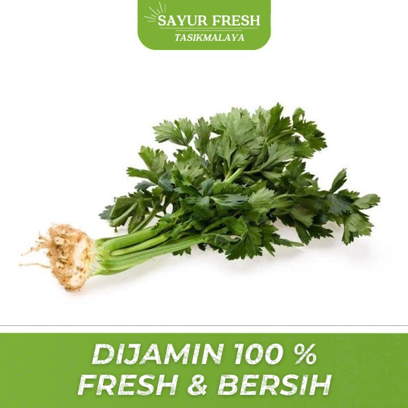 

Daun Seledri 1 ikat - SAYUR FRESH TASIKMALAYA