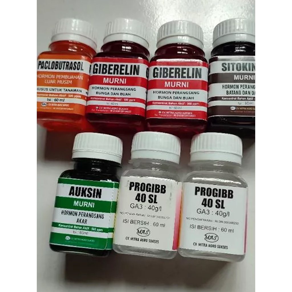 ID HORMON ZPT GIBERELIN, AUKSIN, ANRIN, SITOKININ, ZAT PENGATUR TUMBUHAN, ZAT PENGATUR BUAH DAN