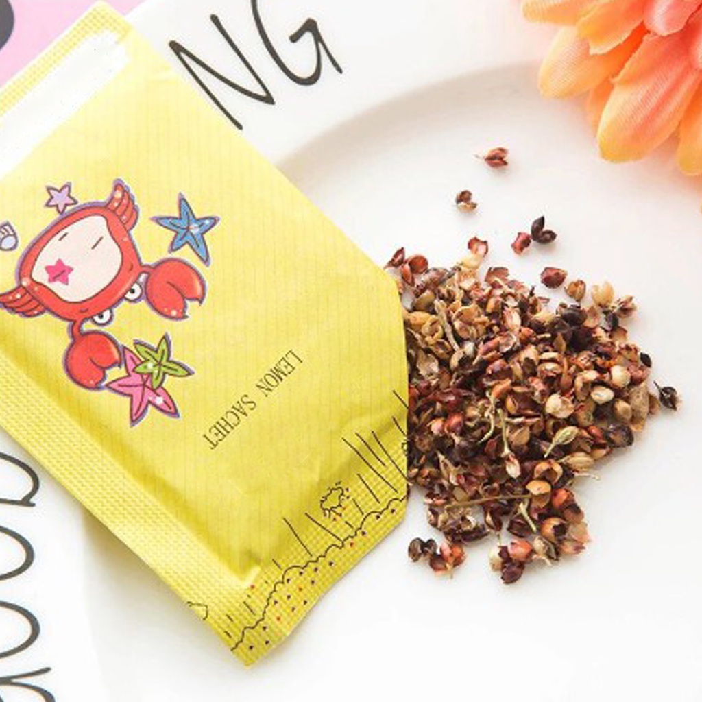 ❤️GTB❤️ Pengharum Ruangan Pewangi Tas Laci Lemari Mobil Toilet Kamar Harum Wangi Sachet Aroma R904