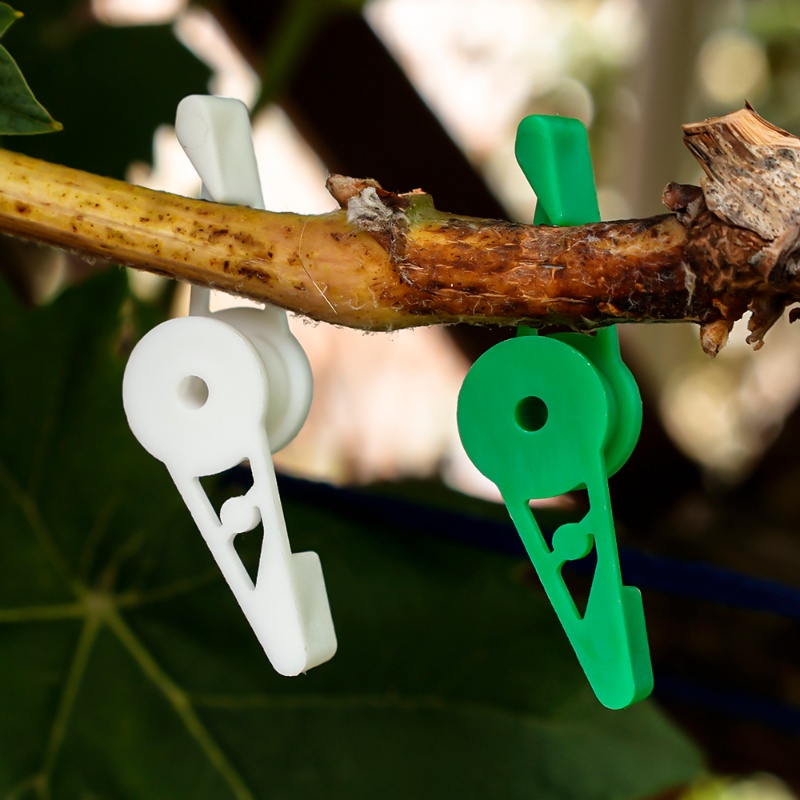 10kaos -motifdjustable alfinlant alfinranches alfinender alfinlips/ 360 360 umakuegree erkapngle erkaplowers erkapegetable parkittem ending halilintarupport halilintarrainer