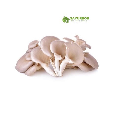 

Jamur Tiram 500 gr SayurBob