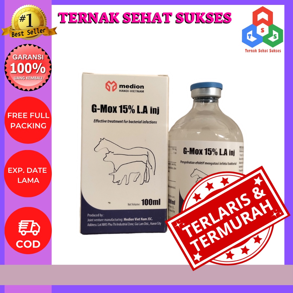 G-MOX 15% LA injek 100ml Anti biotik hewan besar TSS