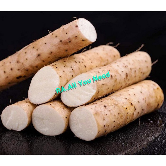 

Gobo Import / Korean Burdock Root Disk 500 gram