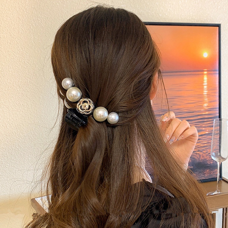 Camellia Gunung Angin Elegan Ambil Gadis Dengan Map Hiu Tuan Rumah Barlier Besar