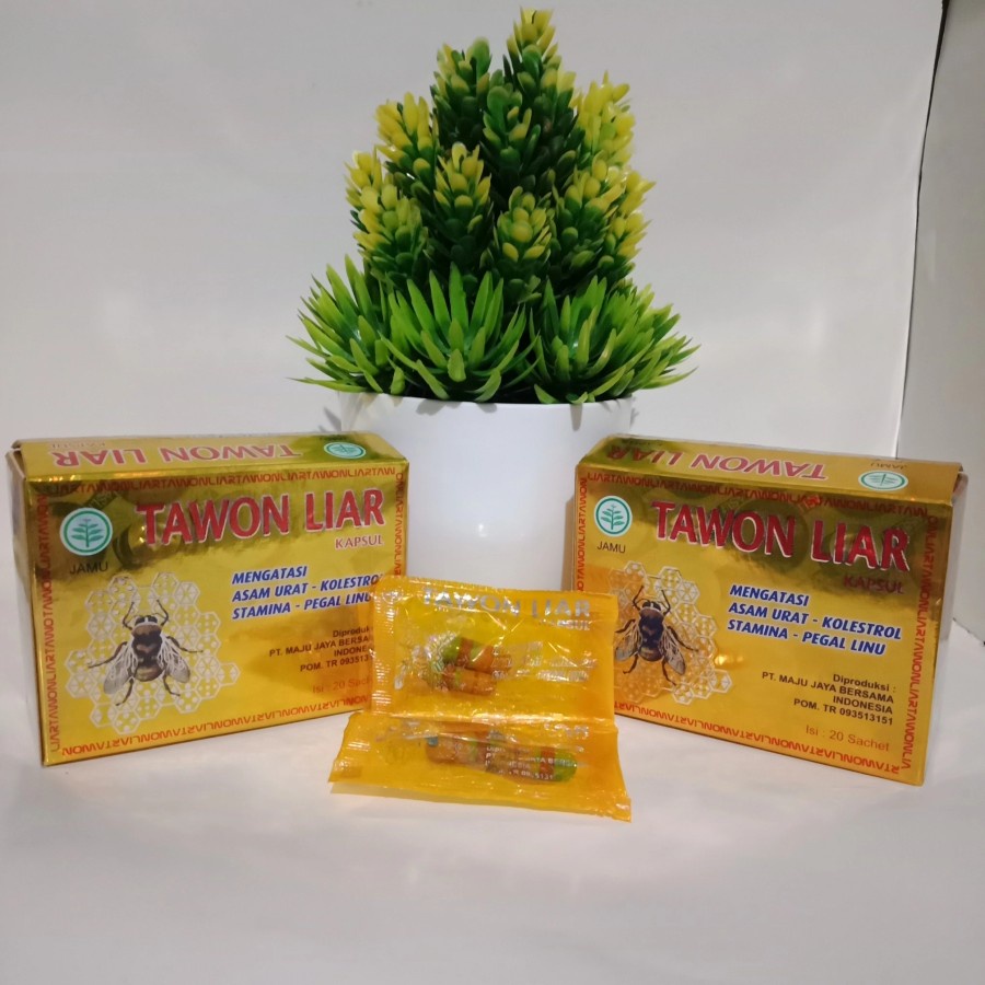 

kapsul TAWONLIAR original asli kualitas no 1