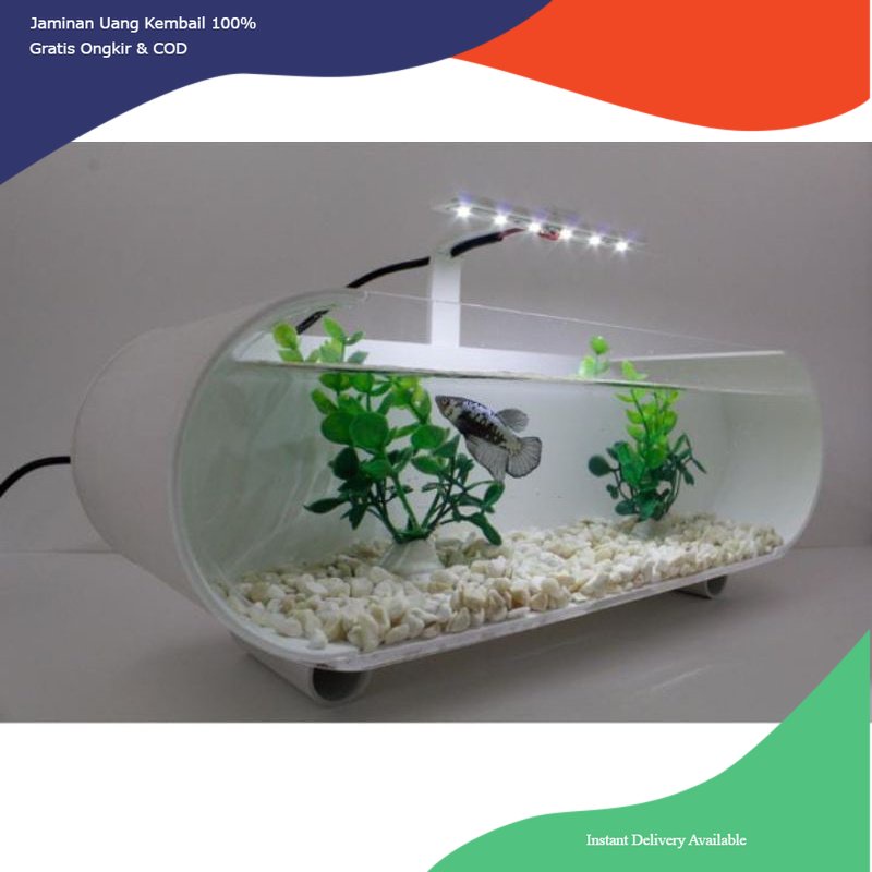 Aquarium akrilik kombinasi pvc, aquarium akrilik lengkung, aquarium akrilik unik, aquarium cupang un