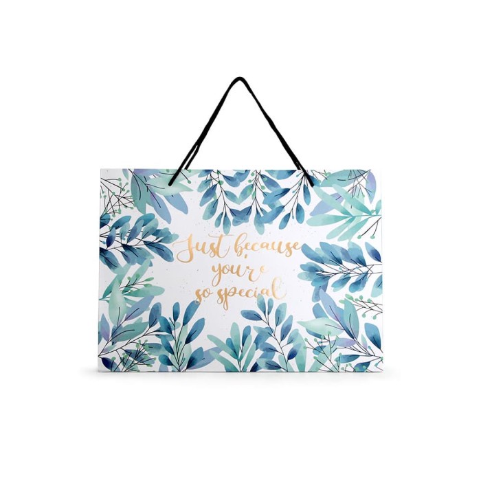 

[SC] Paper Bag - Summer H 03-04 - So Special