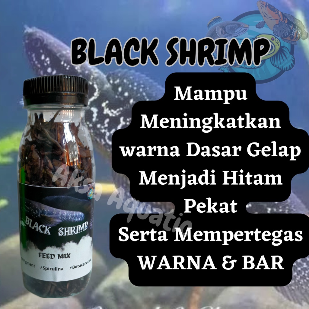 Udang Kering Hitam Pakan Ikan Channa Asiatica WS