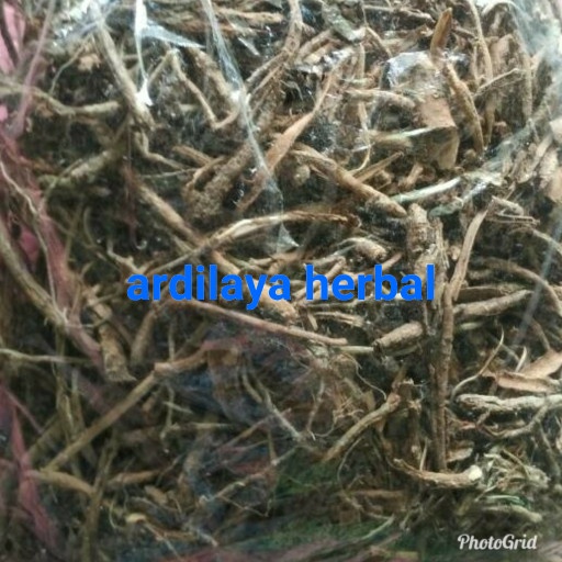 

kayu rapet kering 250 gram ASLI 100%