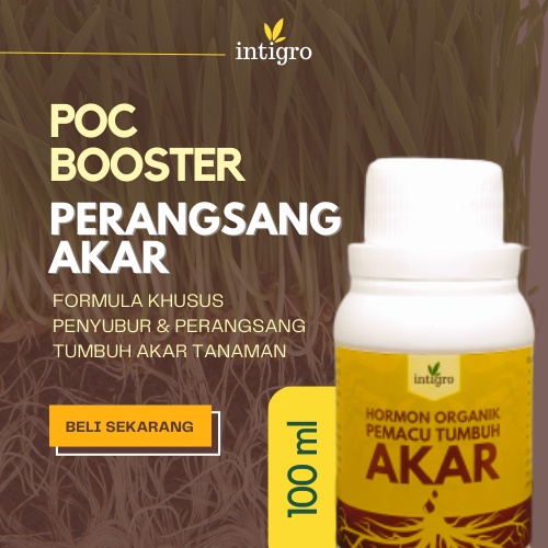 ( Restoe ) Pupuk Akar Tanaman / Perangsang Akar Singkong Anggrek Bonsai / Penumbuh akar tanaman stek
