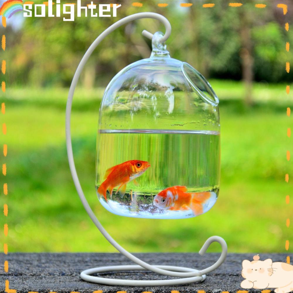 Solighter Fish Tank Hidroponik Hiasan Gantung Kaca Fish Tank Mini