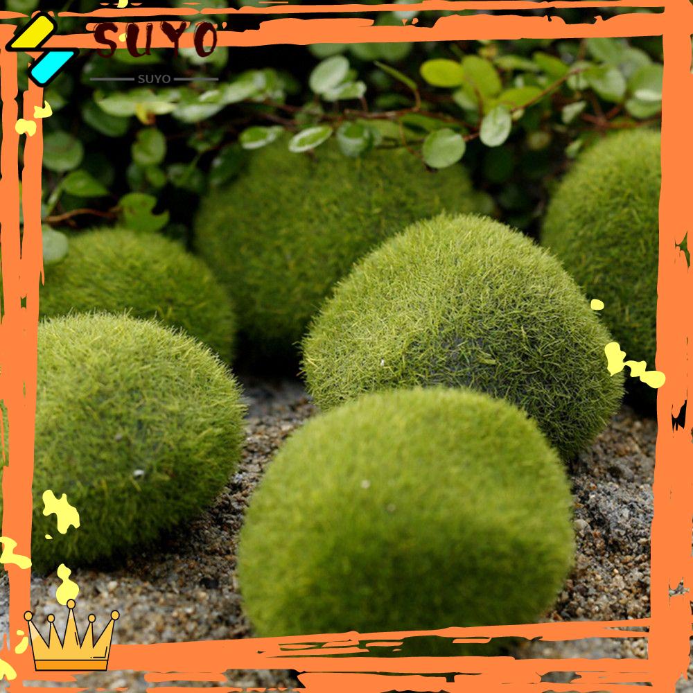 Suyo Mossy Stone Aksesoris Rumput Ornamen Peri Taman Simulasi Lumut