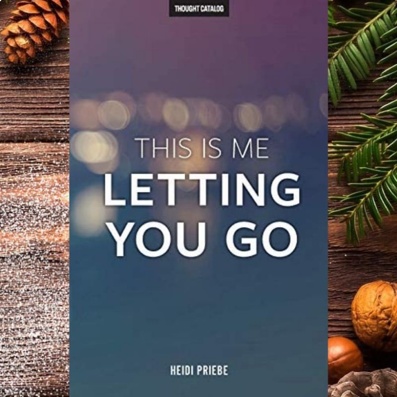 This Is Me Letting You Go Heidi Priebe