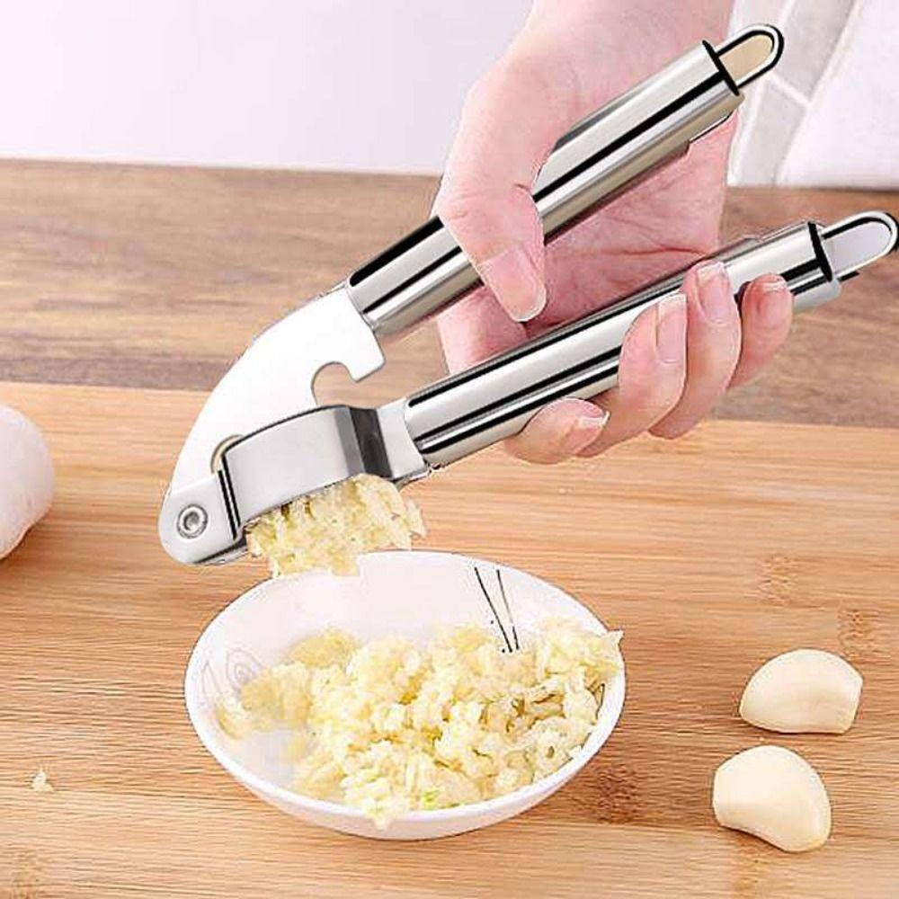 Populer Penghancur Bawang Putih Jahe Alat Dapur Manual Mincer