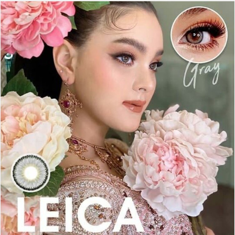 softlens dreamcolor LEICA/LEENA grey/brown