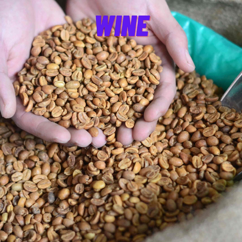 

Green Beans / Biji Kopi Mentah Puntang Wine Proses Jabar Coffee Puntang
