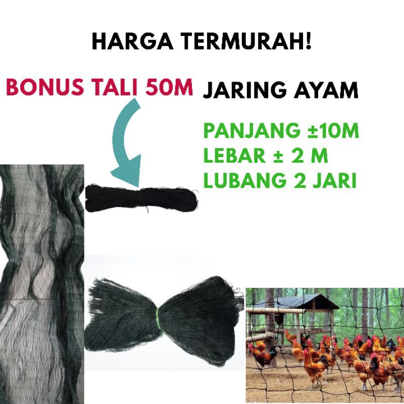 Jaring Ayam-Jaring Pagar ayam-Jaring kandang Ayam lubang 2 jari jaring murah